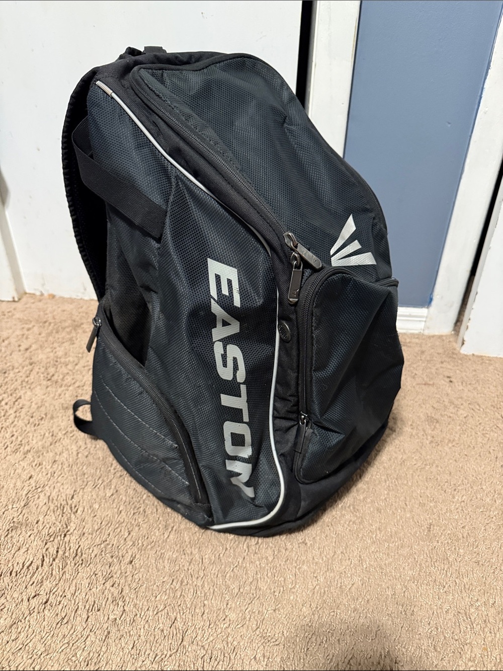 Easton Baseball bag